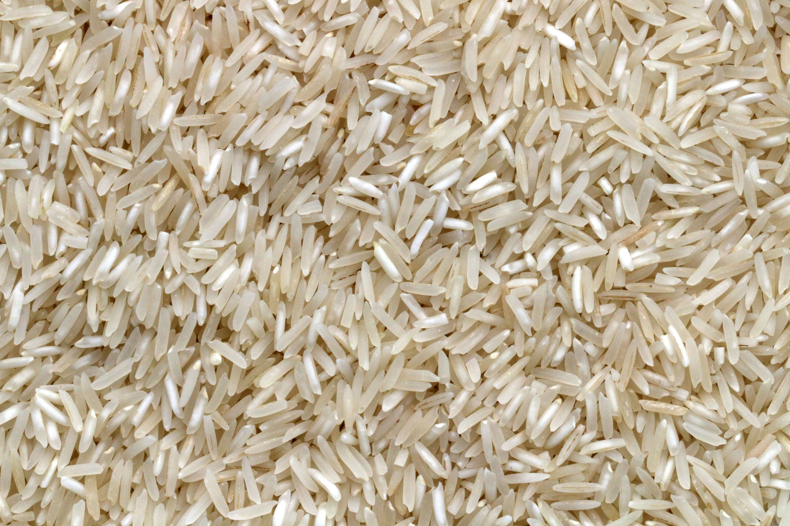 arroz