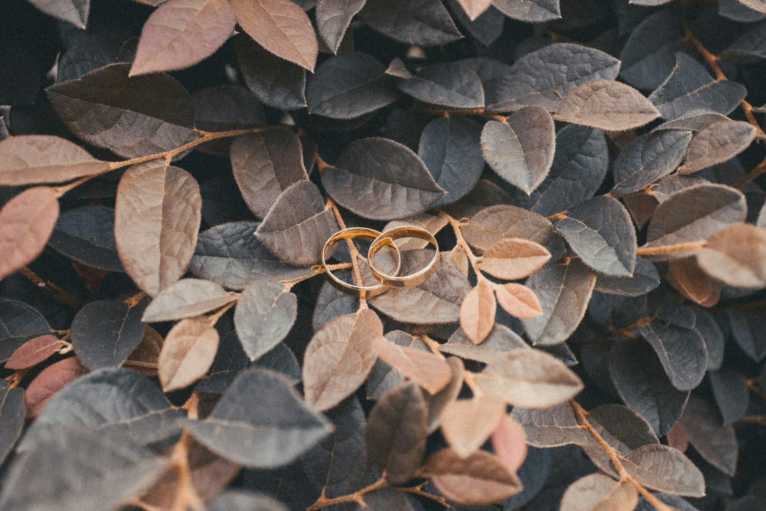 boda de otoño