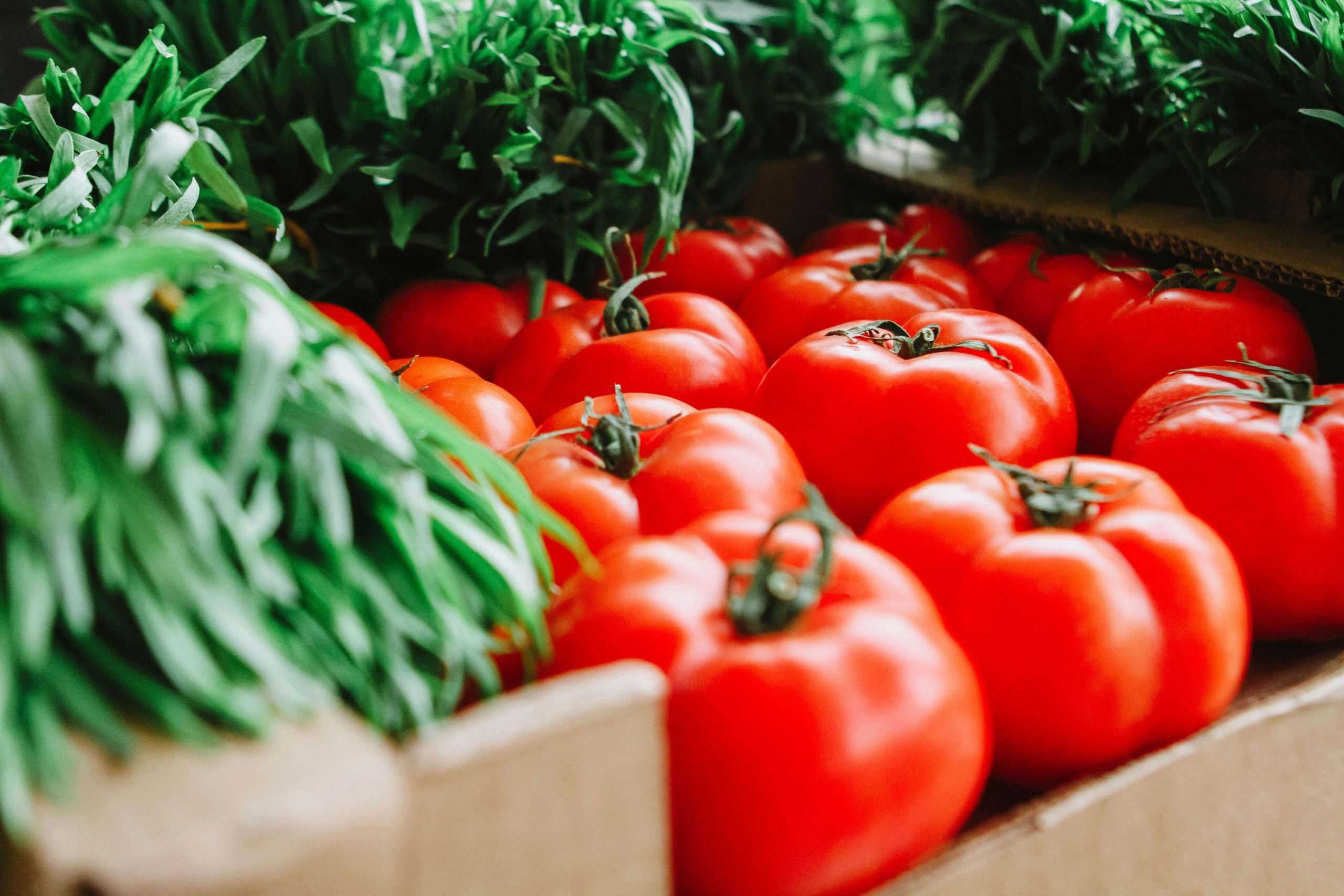 frutas y verduras de temporada